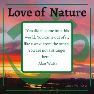 “You didn’t come into this world. You came out of it, like a wave from the ocean. You are not a stranger here.” – Alan Watts