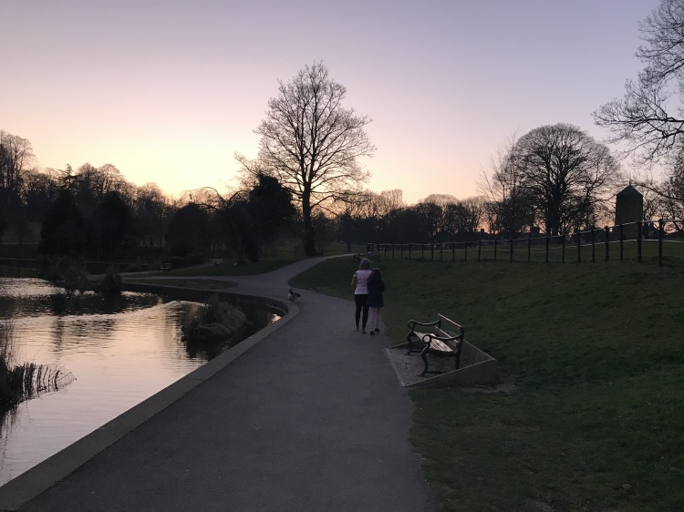 sun set with pink sky over the duck pond at Abington park