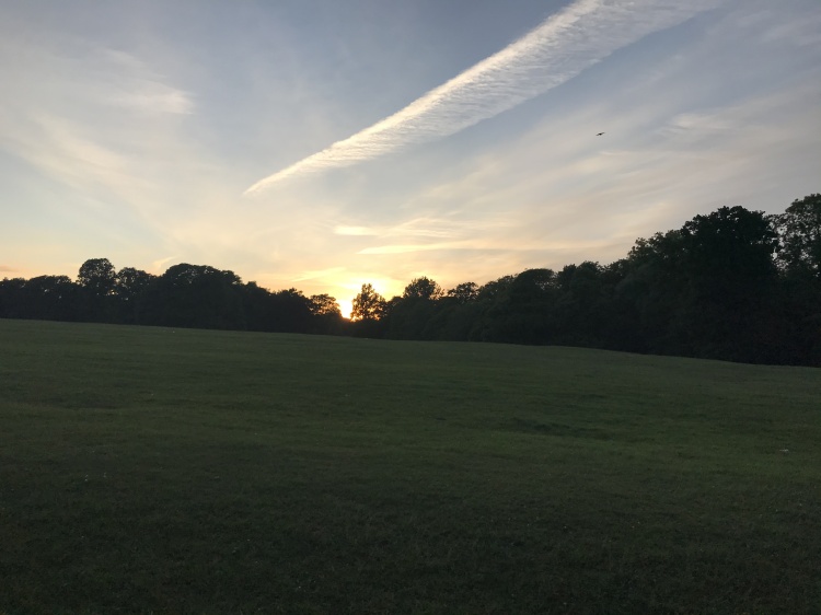 sunrise in Abington park