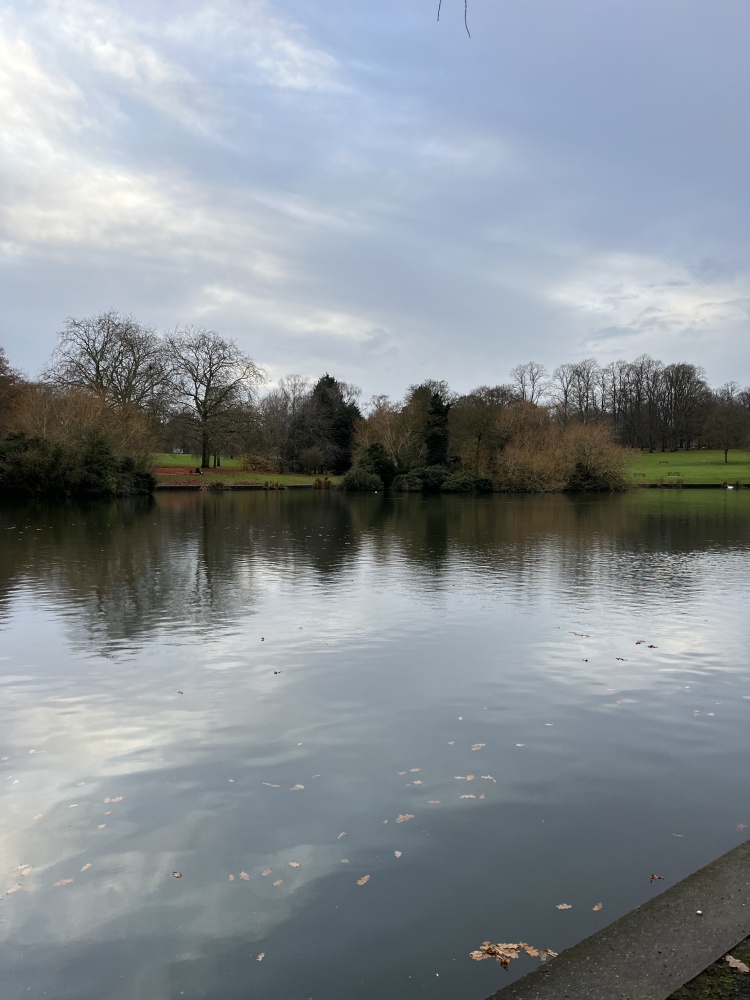 duck pond in Abington park