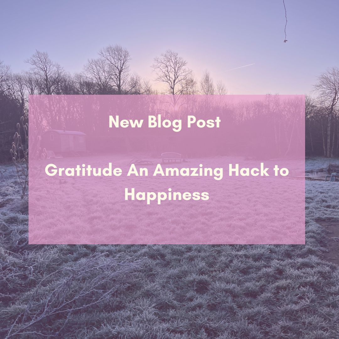 pink filter on a picture of a frosty morning with the text New Blog Post, Gratitude An amazing Hack to Happiness