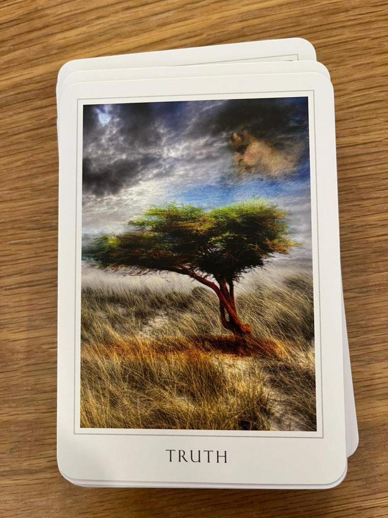 an image of a card on table with a tree blowing in the wind and the words TRUTH